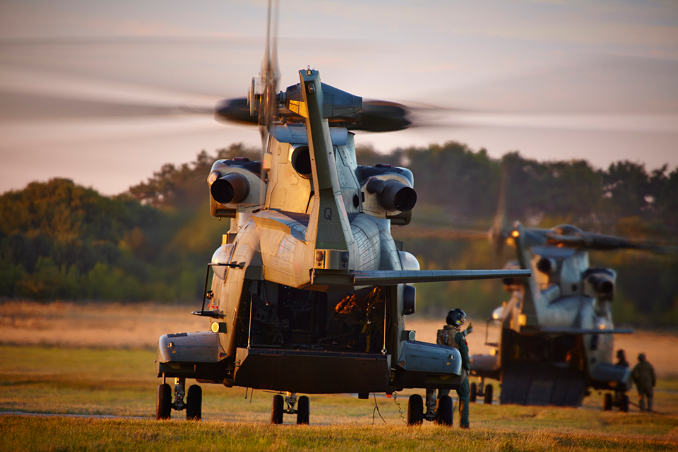 Agusta Wetsland Merlin sunset